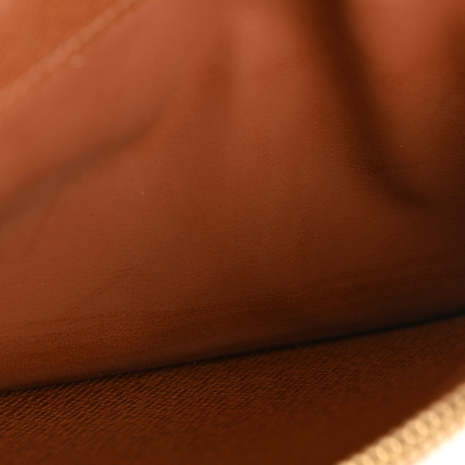 Monogram Insolite Wallet