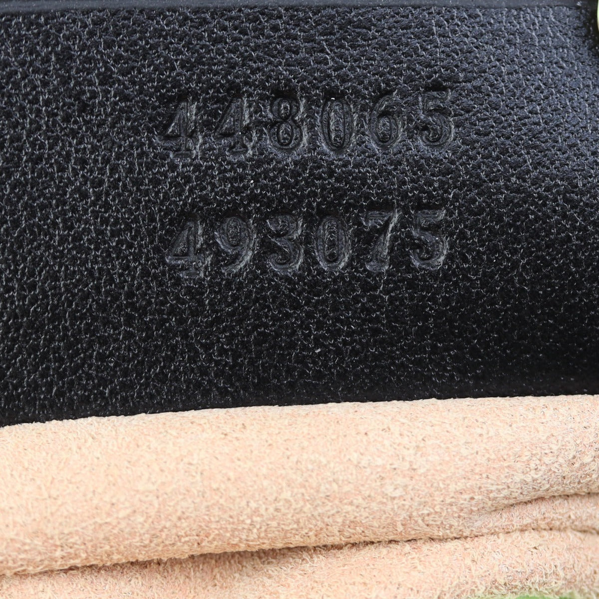 Gucci GG Marmont Mini Camera Bag