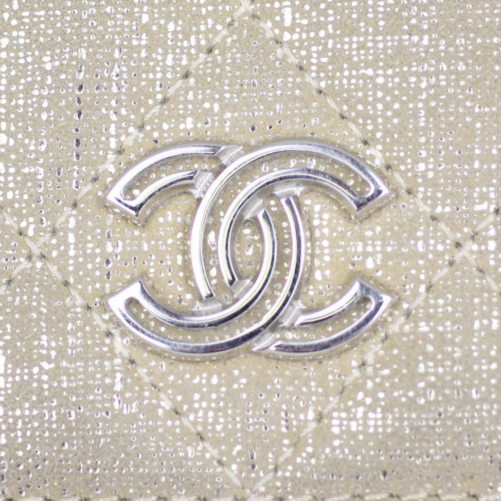 Chanel Iridescent Goatskin Zippy Wallet